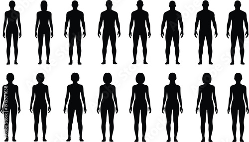 Human body silhouette set showing male and female standing figures front view anatomy proportions in black vector illustration for design reference templates education