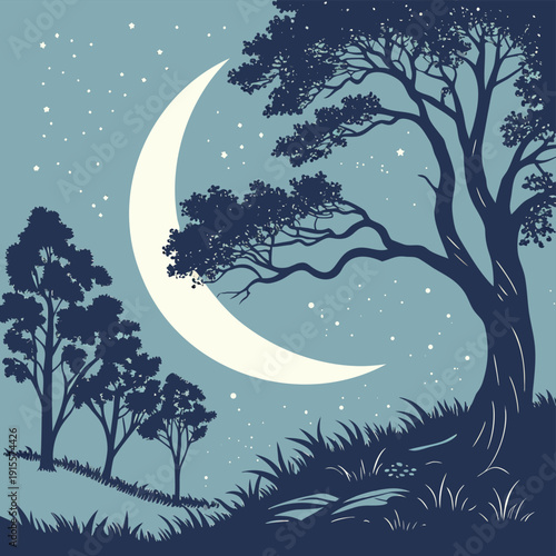 winter night landscape