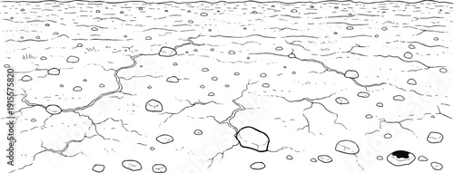 Cracked dry ground with scattered stones and sparse vegetation