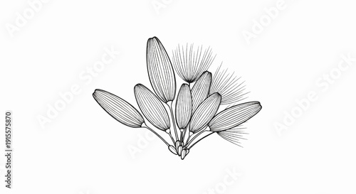 Delicate line drawing of dandelion seeds dispersing on a white background