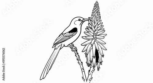 Delicate line drawing of a bird perched on a branch, feeding from a tall flower