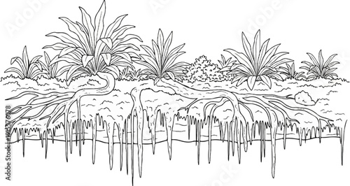 Cross-section of plant life showing dense roots and leafy greenery above