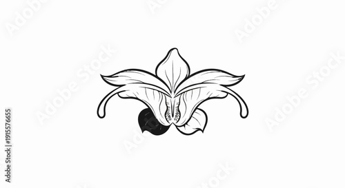 Delicate sketch of an orchid flower with flowing petals and leaves