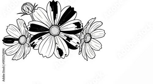 Delicate sketch of three daisy-like flowers with a bud, showing petal details