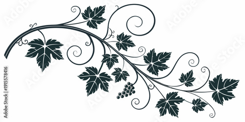 Intricate black and white leafy vine design with swirling tendrils
