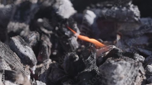 Wallpaper Mural Smoldering charcoal pieces with drifting smoke and faint red glow, ideal for barbecue, grilling, camping fire, or heat and combustion concept Torontodigital.ca