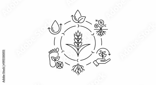 Diagram of agricultural cycle with wheat at center