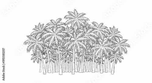 Dense cluster of palm trees with textured trunks and feathery fronds