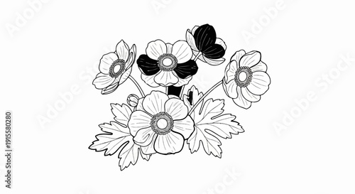 Delicate black and white illustration of blooming anemone flowers with leaves