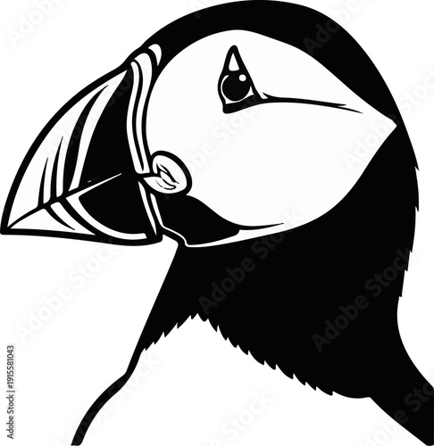 Detailed black and white illustration of a puffin bird's head and beak