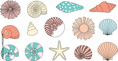 Decorative hand drawn seashell and starfish vector set featuring various ocean shells with artistic patterns and textures for summer beach nautical design projects.