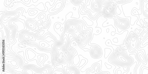 Minimal white line geometric grid outline curve counter map and wavy topography relief discovery area white, black line texture background.