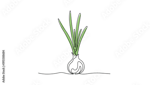 Simplistic and elegant continuous line drawing of an onion plant, beautifully depicting its bulb and long green shoots in a modern artistic style.