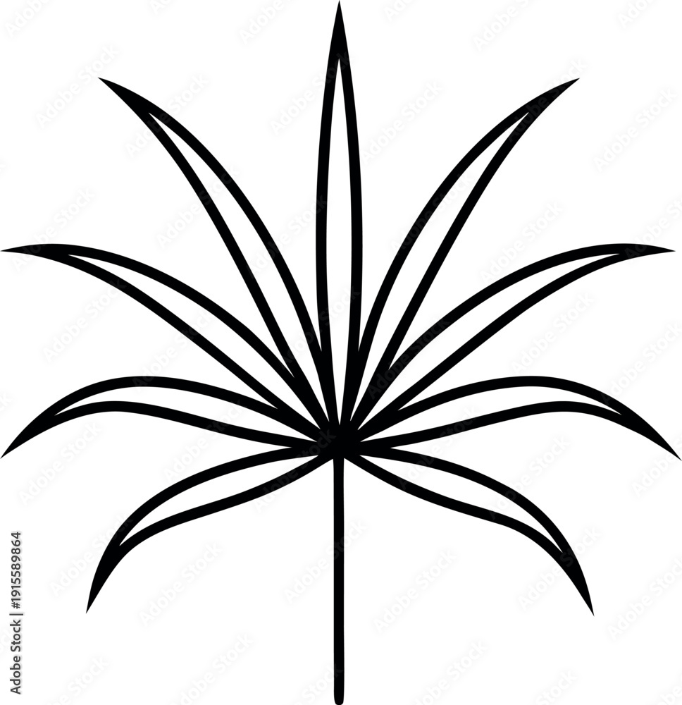 Fototapeta premium Black and white abstract palm leaf illustration