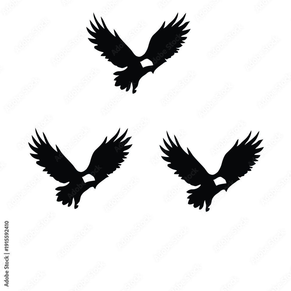 Fototapeta premium eagle vector illustration
