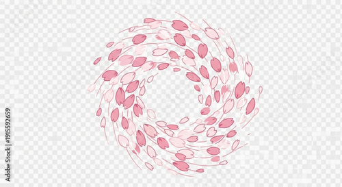 Pink cherry blossom petals swirling in a circular motion abstract floral design element for spring and nature themes isolated on transparent background