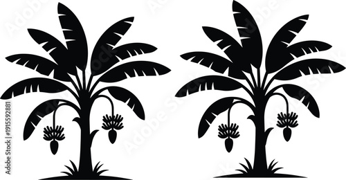 Two Banana Trees with Fruit Silhouette