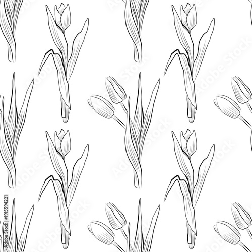 Seamless pattern of linear drawings of tulip flowers. Minimalistic illustration.