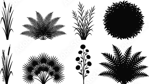 Black botanical plant silhouettes set, flat vector illustration, tropical foliage collection, garden shrub shapes, nature clipart bundle, isolated design elements