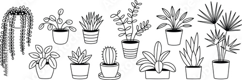 Hand drawn indoor houseplants vector illustration set, black and white potted succulent and cactus collection isolated on white background minimalist line art
