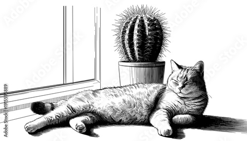 Cat resting on floor near window and cactus