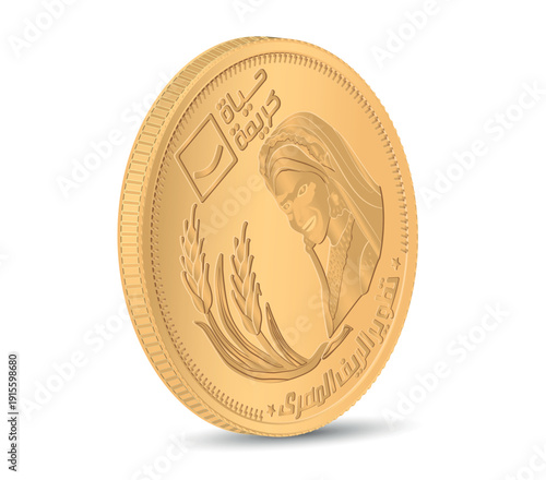 Obverse of the 50 piastres 2021 Egyptian Countryside, Egypt in 3D render. 3d vector illustration.