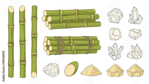 Sugarcane stalks and bundles alongside raw sugar crystals and powder, representing the production process of natural sweetener.
