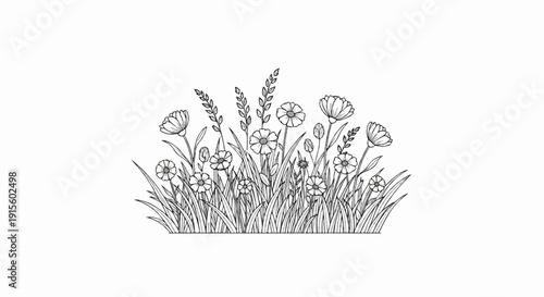Hand-drawn sketch of various wildflowers and grasses in full bloom