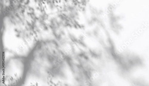 Abstract shadow tree crown branches on wind background, 3d rendering. Sunlight blurred overlay effect on leaves texture backdrop. Foliage and plant shade reflection template.