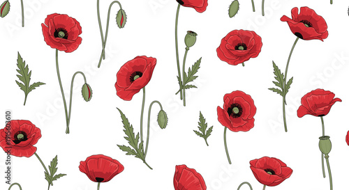 Seamless red poppy flower pattern with hand drawn botanical stems and leaves