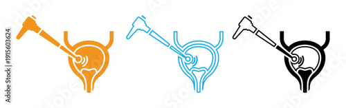Female reproductive system anatomy icons in orange blue and black