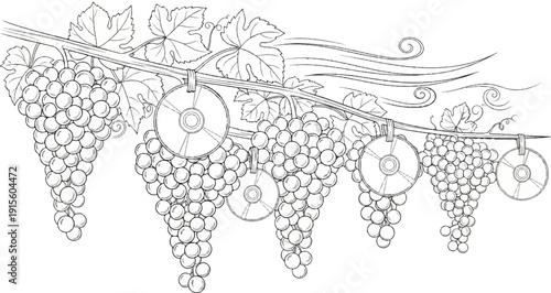 Grapes and CDs hanging from a vine with decorative swirls in background