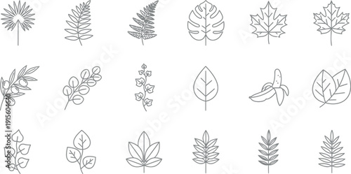 Collection of various minimalist line art botanical icons featuring diverse tropical and deciduous leaves, branches, and an unusual banana fruit drawing for design use