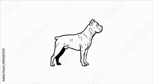 Line art of a muscular dog with alert ears and a taut body, standing