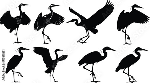 flavector, Extensive Collection of Black Animal Silhouettes Featuring Elephants, Giraffes, Kangaroos, Deer, Herons, Fish, and Spiders Isolated on White Background