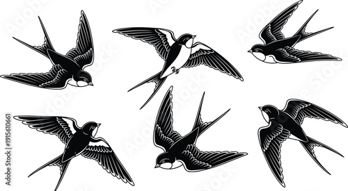 Flying Swallow Bird Vector Illustration Set, Barn Swallows Silhouette Collection, Nature Wildlife Graphic Elements, Flavector Brand Avian Sketches, Winged Creatures Portfolio