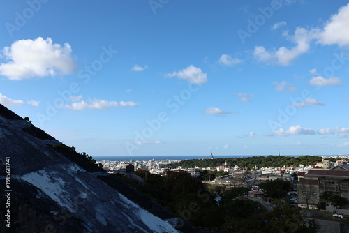 Skyline Panorama: A panoramic view unfolds, revealing a cityscape nestled beneath a vast, cloud-dotted sky, hinting at the vastness of the horizon.