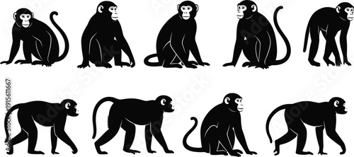 Monkey Silhouette Collection, Primate Sitting and Walking Poses Set, Wild Animal Vector Graphics for Nature and Jungle Themed Design Projects - flavector