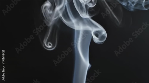 Wallpaper Mural Abstract smoke trails. Soft abstract smoke trails flowing gracefully across a deep black background, forming fluid organic shapes. Torontodigital.ca