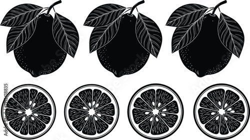 Black Lemon Silhouette Illustration Set, Fresh Citrus Fruits with Leaves, Sliced Orange and Lime Sketches, Organic Food Elements for Branding.