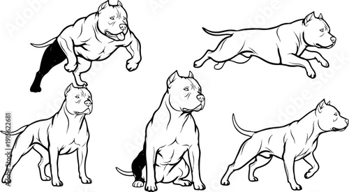 Muscular dogs in dynamic poses, black and white line art