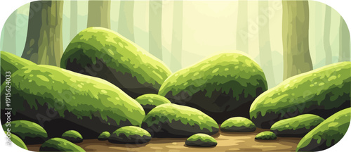 Moss-covered boulders in a misty, sun-dappled forest