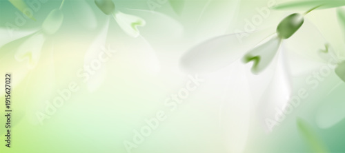Soft green floral background with abstract petals,gradient light,Snowdrops flower blooming with blur fresh spring light,Vector fresh natural backdrop of renewal seasonal change in garden scene