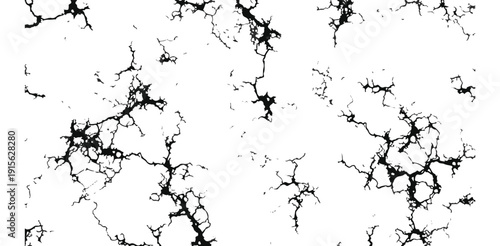 Detailed abstract cracked dry surface texture pattern monochrome grunge fissures distressed design background element