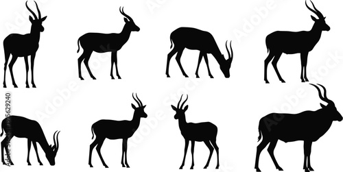 Antelope silhouette illustration collection, wildlife animal poses, grazing, standing, horn variations, black silhouettes, nature design, zoology reference, creative artwork