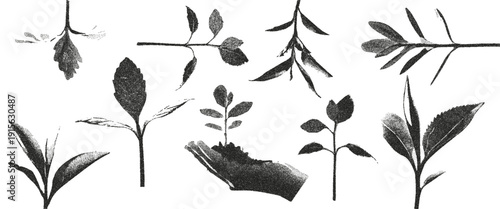 Photocopy dot sprouts. Vector with vintage grain effect isolated on transparent background.