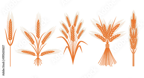 Collection of Stylized Wheat Stalks and Bunches, Ideal for Food, Agriculture, and Natural Themes