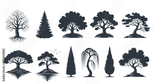 Diverse collection of natural tree silhouettes, featuring various species and seasonal forms, ideal for graphic design, landscape concepts, and decorative elements