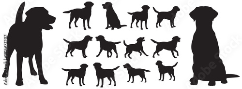 Labrador Retriever silhouettes eps 10