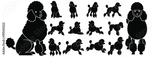 Poodle silhouettes eps 10